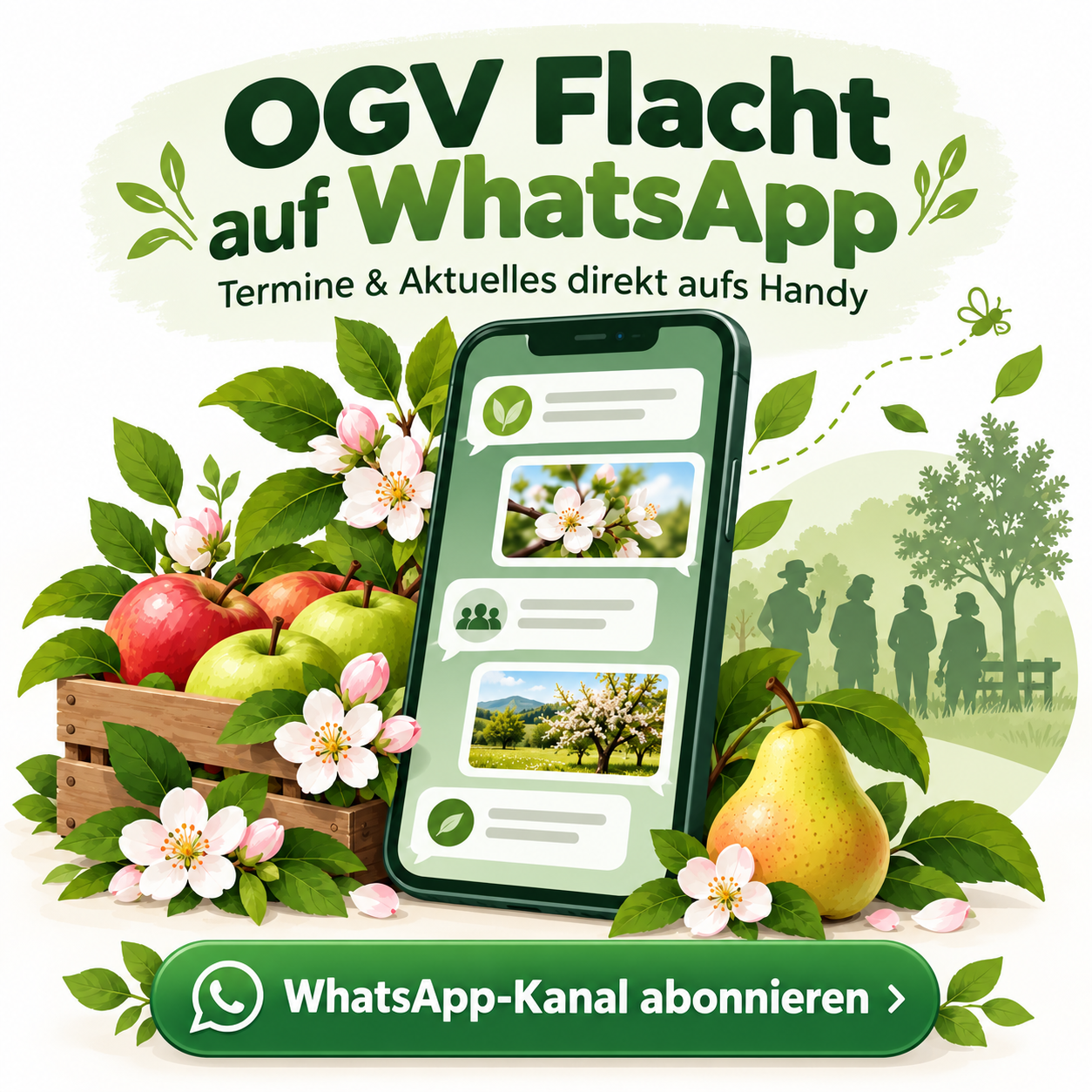 WhatsApp-Kanal OGV Flacht